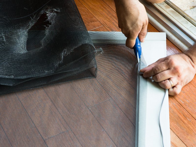 professional with old screen door