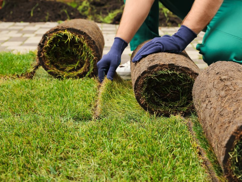 professional laying turf